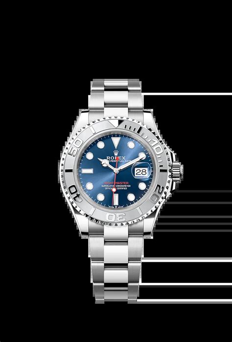 cerco rolex d& 39|rolex official site.